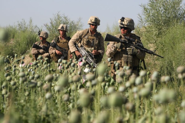 Marines in Poppies